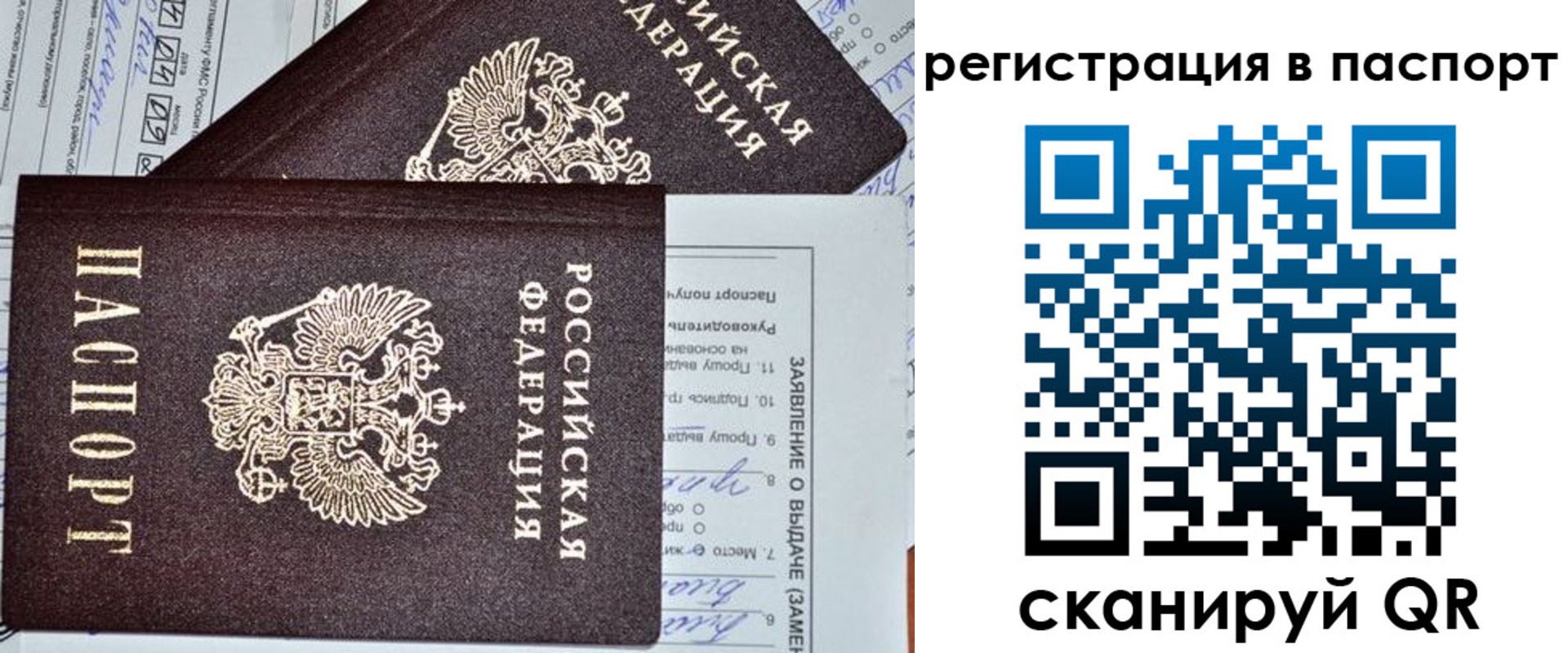 прописка законно в Благодарном